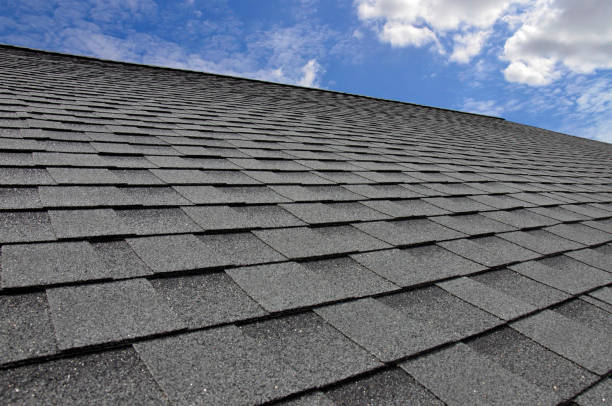 Best Roof Maintenance and Cleaning  in Bressler, PA